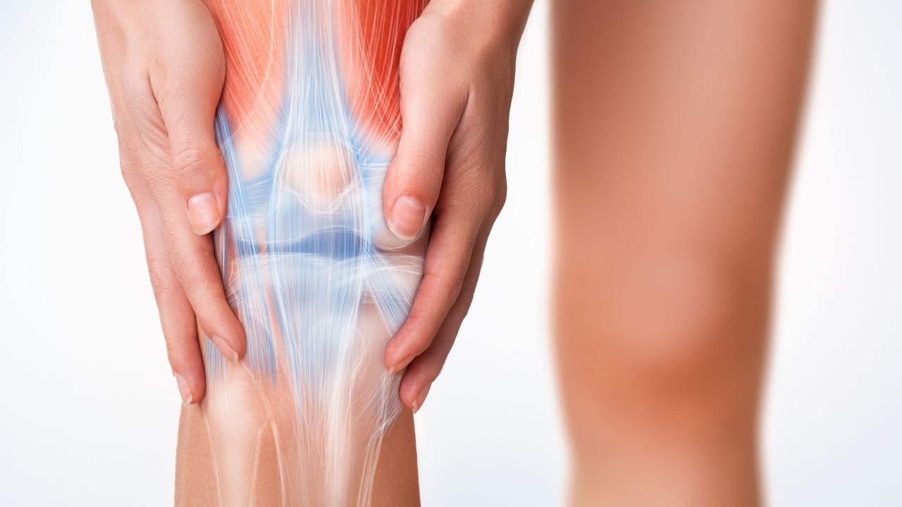 Effect Of Chondroitin Sulfate On Knee Health